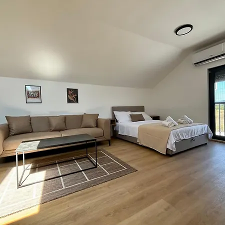 Promo Apartment Pirot