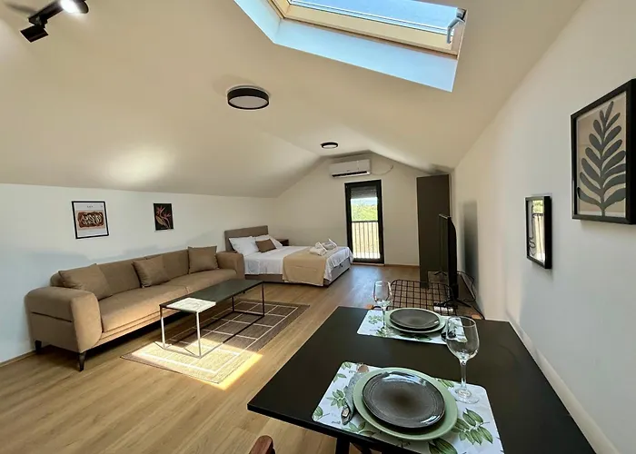 公寓 Promo 皮罗特